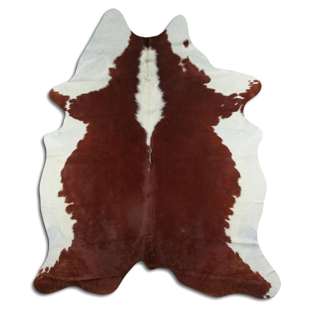 Brązowa skóra bydlęca XL