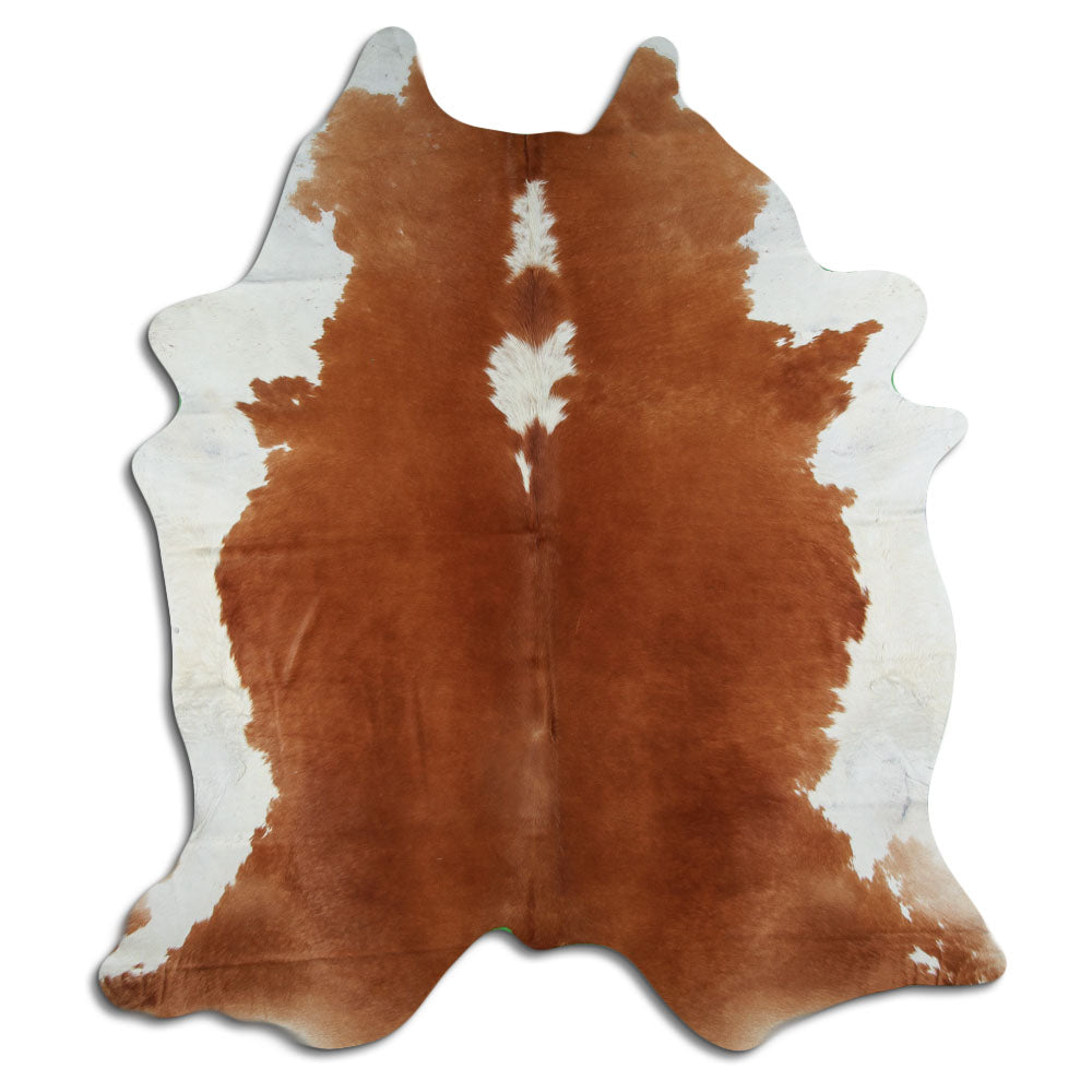 Brązowa skóra bydlęca XXL