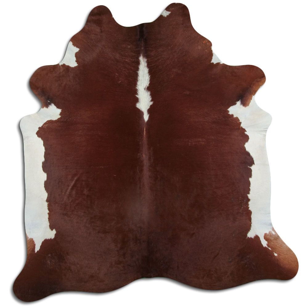 Brązowa skóra bydlęca XL