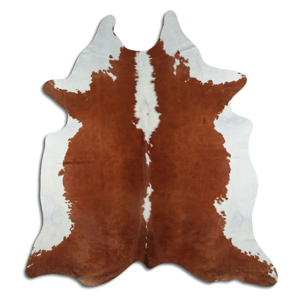Brązowa skóra bydlęca XXL