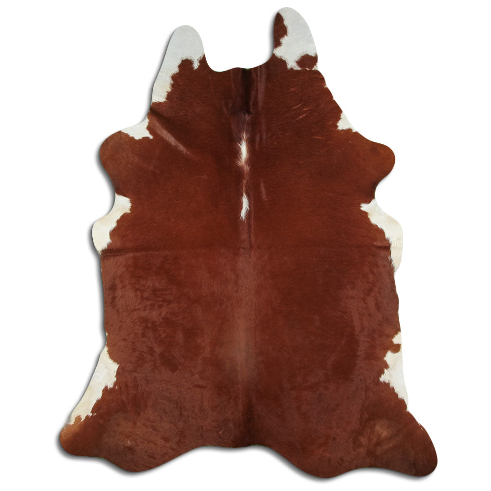 Brązowa skóra bydlęca XXL
