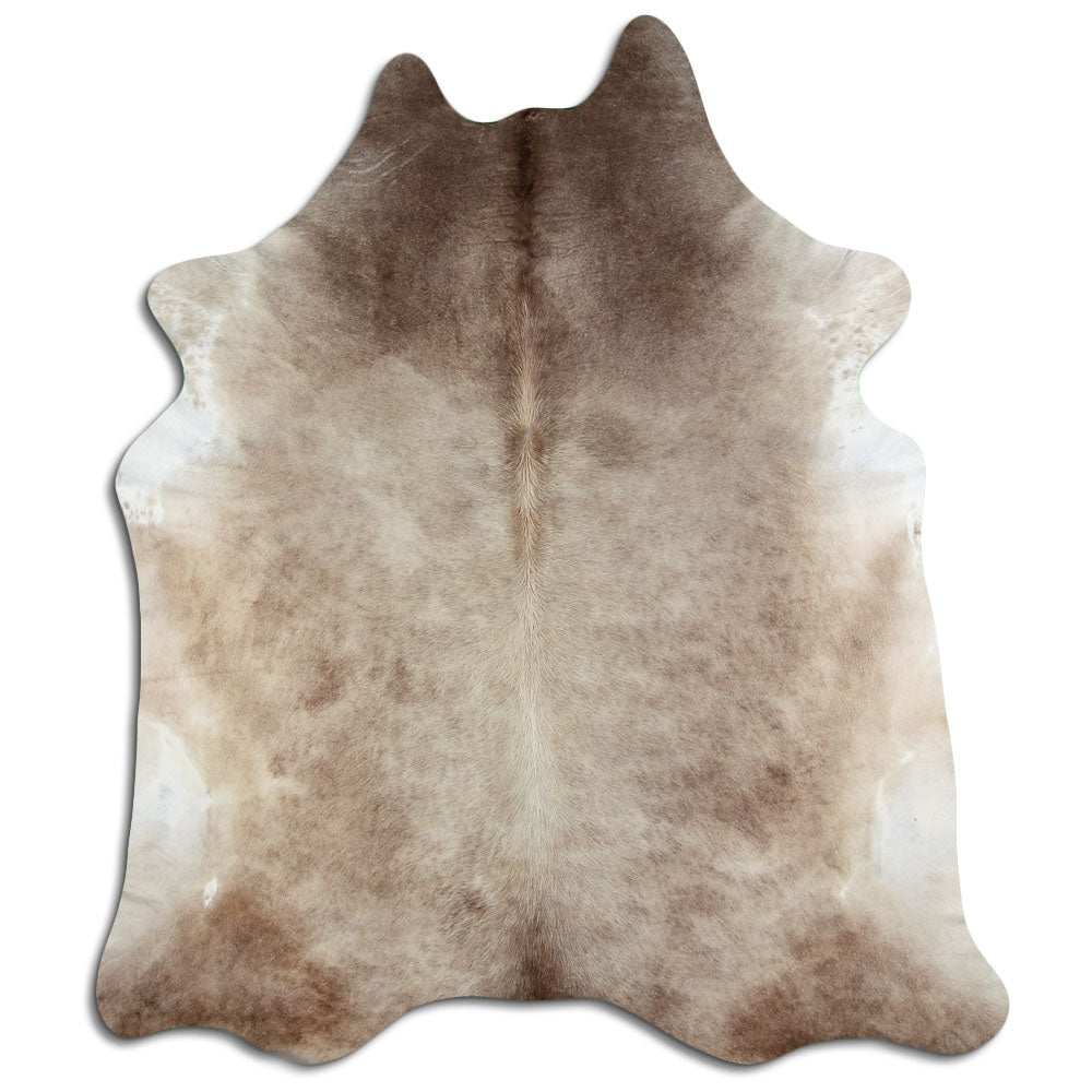 Szampańska skóra bydlęca XXXL