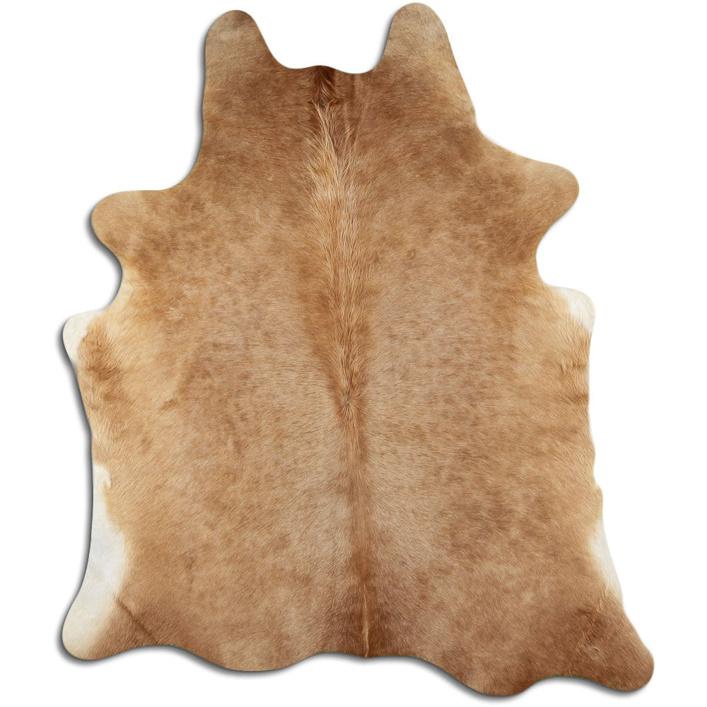 Szampańska skóra bydlęca L