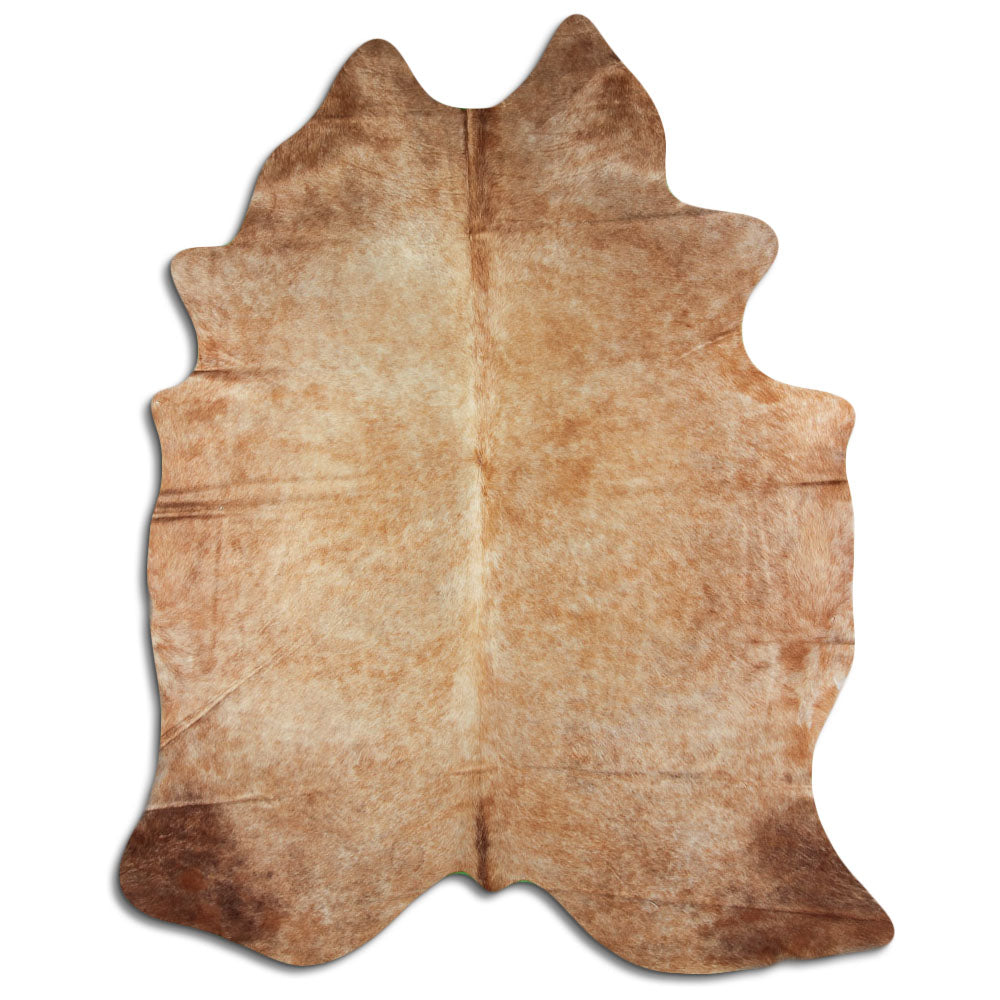 Szampańska skóra bydlęca XXL