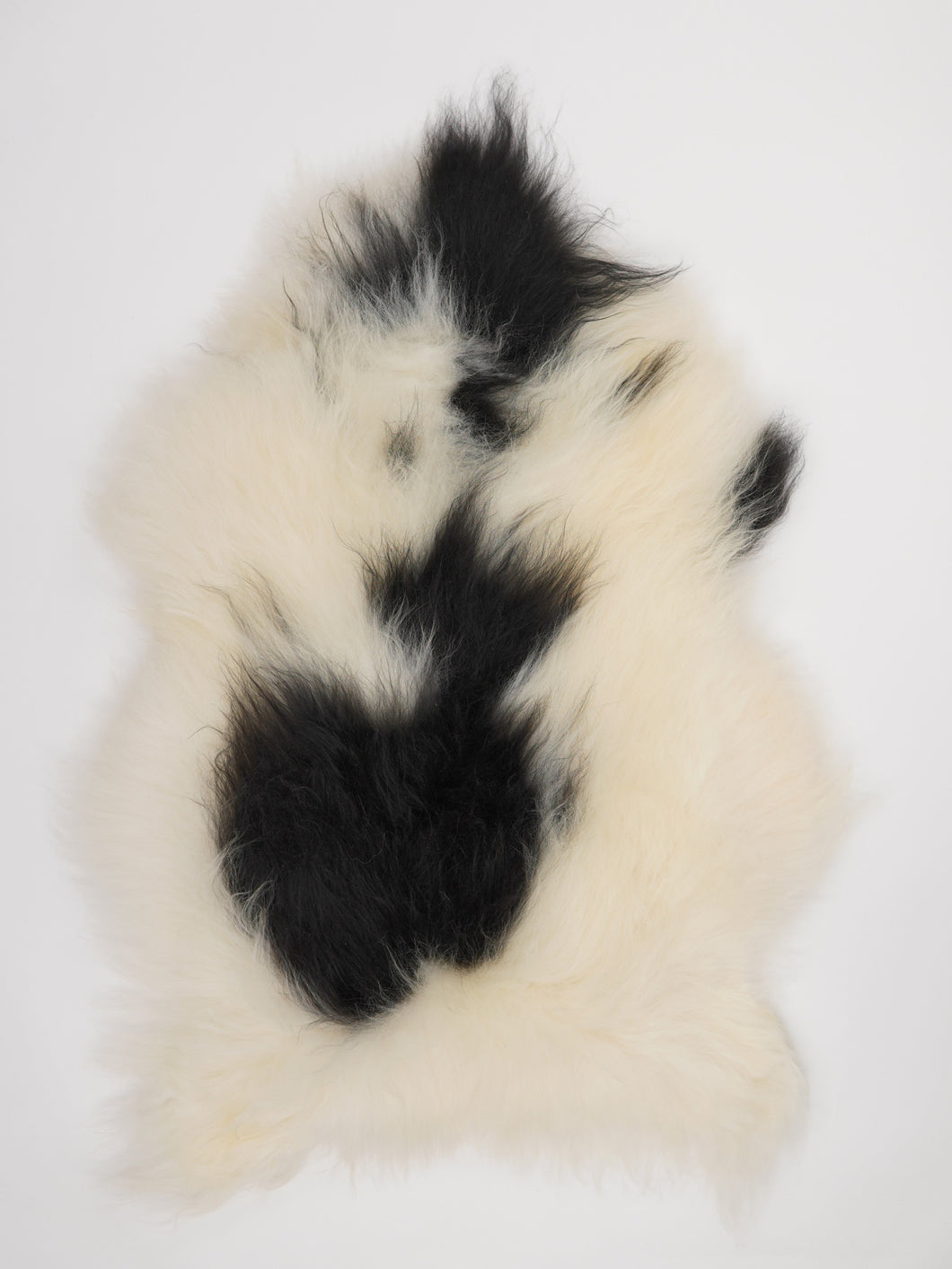 Islandzka skóra owcza XL