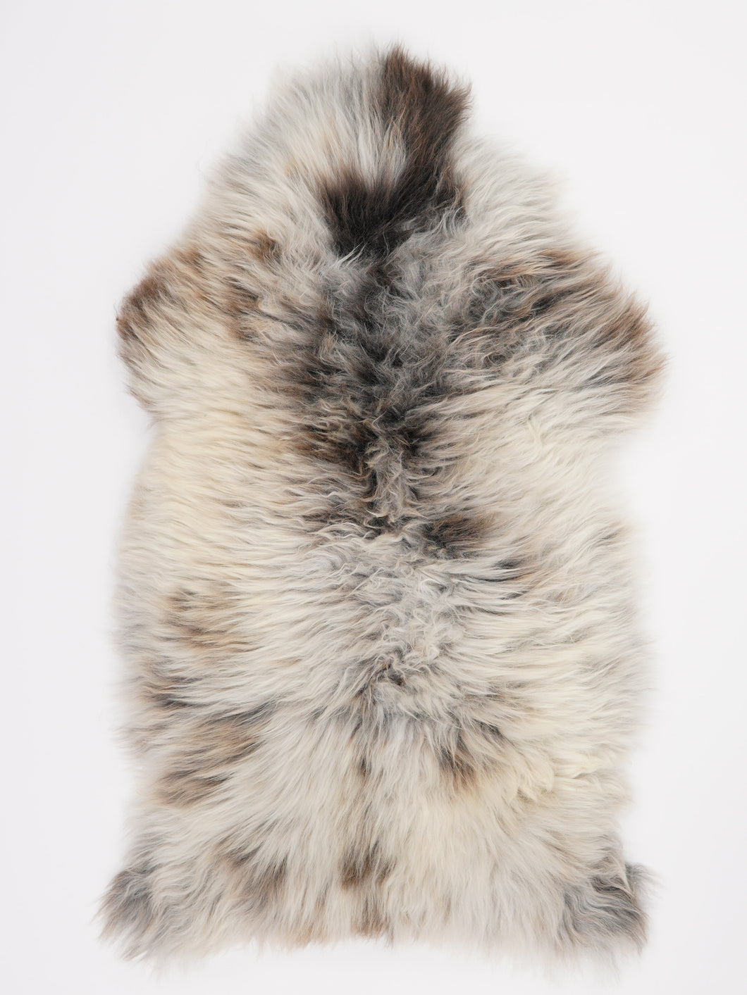 Wielokolorowa skóra owcza XL